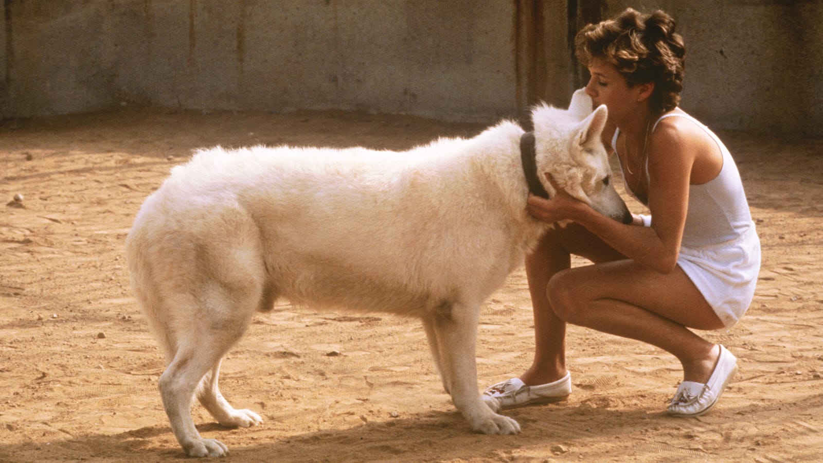 whitedog3