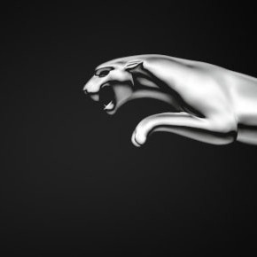 JAGUAR ALIVE